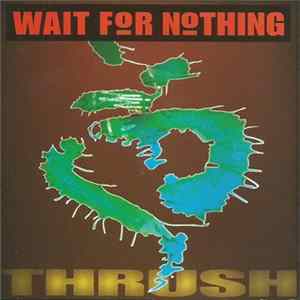 Wait For Nothing - Thrush flac