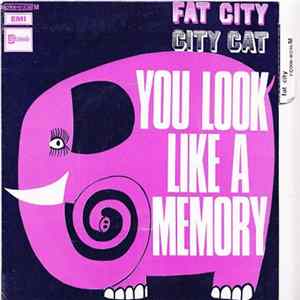 Fat City - You Look Like A Memory flac