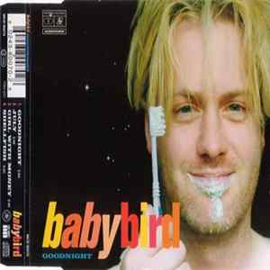 Babybird - Goodnight flac