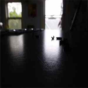 Various - Ephemeroptera: Tape Splice Zine No. 1 flac
