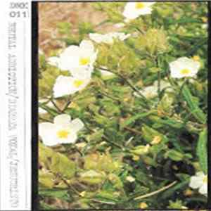 Brutal Addiction / Diarrea Vokal / Jesucristo - 3 Way Split flac