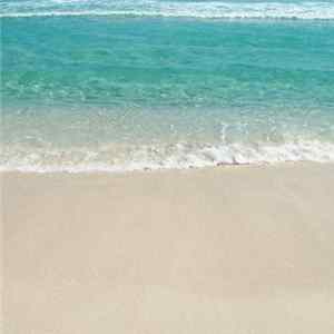 Shore Tea - Shore Tea flac