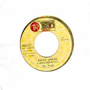 Big Youth - Natty Dread A Wah She Want flac