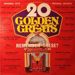 Various - 20 Golden Greats flac