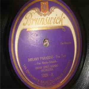 Isham Jones Rainbo Orchestra - Dreamy Paradise / Sweet Woman flac