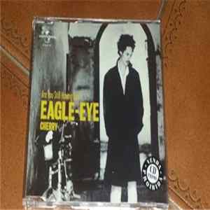 Eagle-Eye Cherry - Are You Still Having Fun? flac