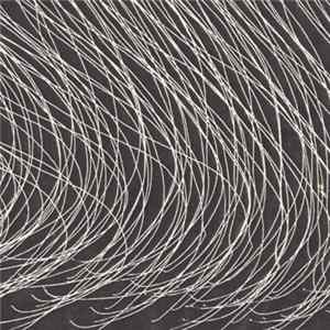 Mundo Animal / Dark Spring - Untitled flac