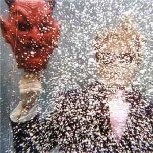 Ty Segall - Ty Segall flac