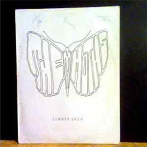 The Moths - Summer Snow flac