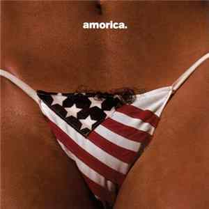 The Black Crowes - Amorica flac