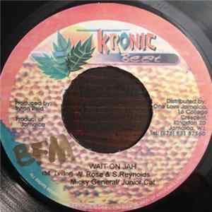 Micky General, Junior Cat - Wait On Jah flac