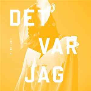 Familjen - Det Var Jag flac