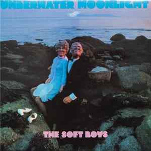 The Soft Boys - Underwater Moonlight flac