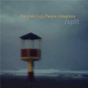 Ferni En Fuga / Pesca Milagrosa - Split flac