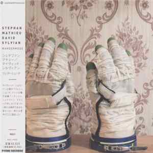 Stephan Mathieu and David Sylvian - Wandermüde flac