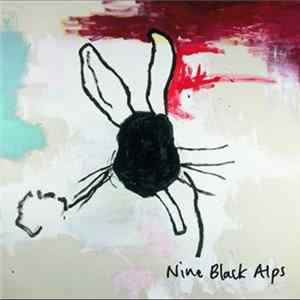 Nine Black Alps - Everything Is flac