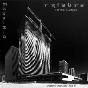 Maurizio Miceli - Tribute To Netlabels II ( Part One Dub Techno Mix ) flac