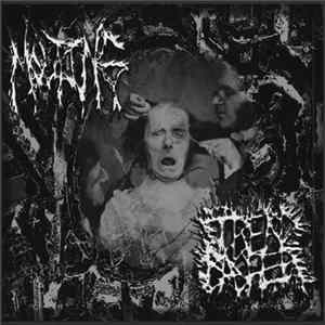 Molting / Trend Basher - Untitled flac