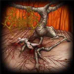Spectral Tombs - Veins As Poisoned Streams flac