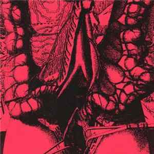 Skin Crime - Desecration flac