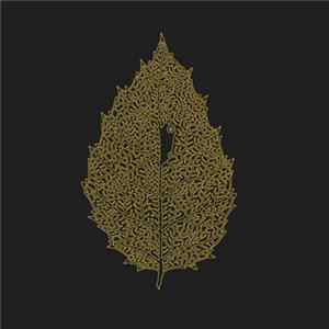 Dear John Letter - Between Leaves | Forestal flac