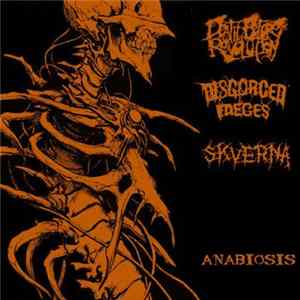 Disgorged Faeces / Death Before Revolution / Skverna - Anabiosis flac