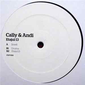 Cally & Andi - Etajul 13 flac