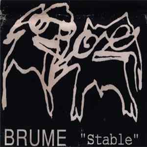 Brume - Stable flac