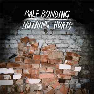 Male Bonding - Nothing Hurts flac