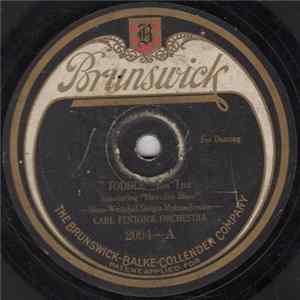 Carl Fenton's Orchestra - Toddle / Some Little Bird flac
