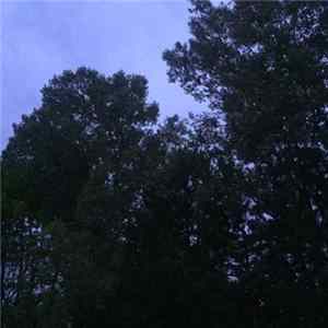 Louis Rain - 4​:​36 AM flac