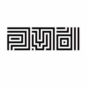 Polarvoid - PVD flac