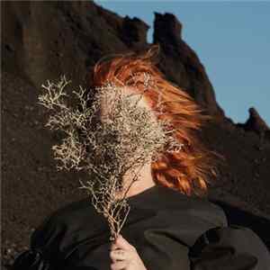 Goldfrapp - Ocean flac