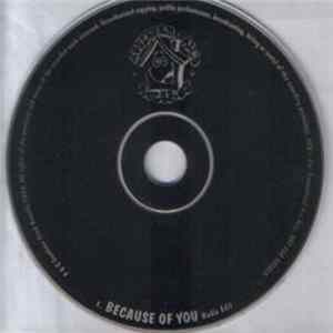 Scanty Sandwich - Because Of You flac