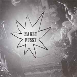 Harry Pussy - You'll Never Play This Town Again flac