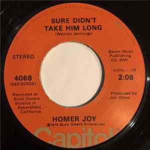 Homer Joy - Sure Didn't Take Him Long flac