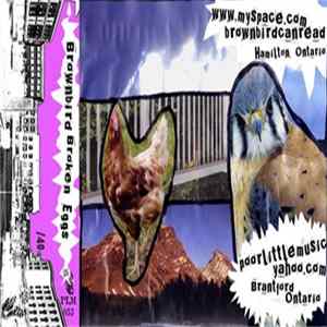 Brown Bird - Broken Eggs flac
