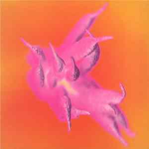 Various - Facing The Wrong Way flac