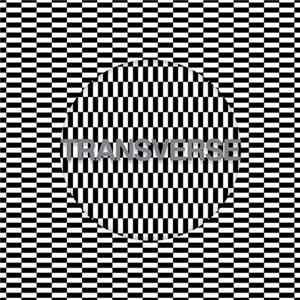 Carter Tutti Void - Transverse - CruX flac