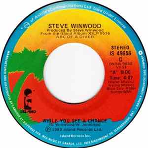 Steve Winwood - While You See A Chance flac