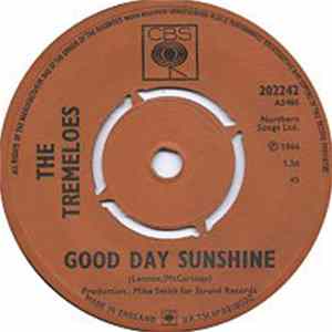 The Tremeloes - Good Day Sunshine flac
