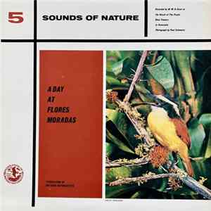 W. W. H. Gunn - A Day At Flores Moradas flac