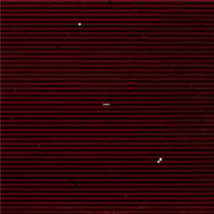 Swans - Swans flac