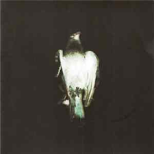 Black Shapes - In The Mourning Light flac