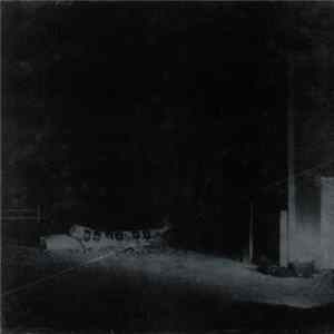Cloud Nothings - Last Building Burning flac