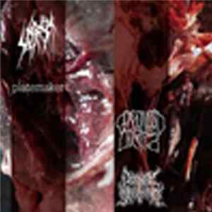 Sete Star Sept / Platemaker / Psychotic Sufferance / Gorgonized Dorks - Sete Star Sept / Platemaker / Psychotic Sufferance / Gorgonized Dorks flac