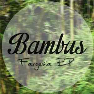 Bambus - Fargesia EP flac