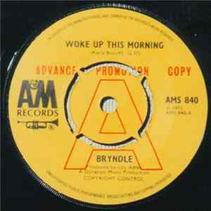 Bryndle - Woke Up This Morning flac