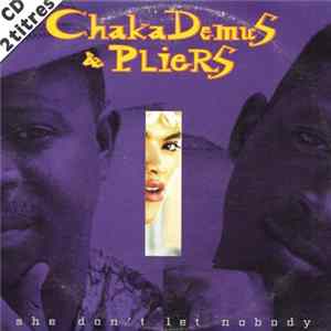 Chaka Demus & Pliers - She Don't Let Nobody flac