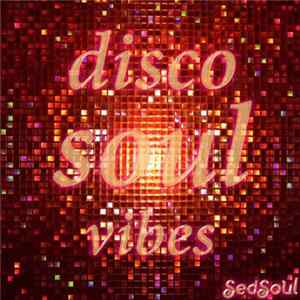 Various - Disco Soul Vibes flac